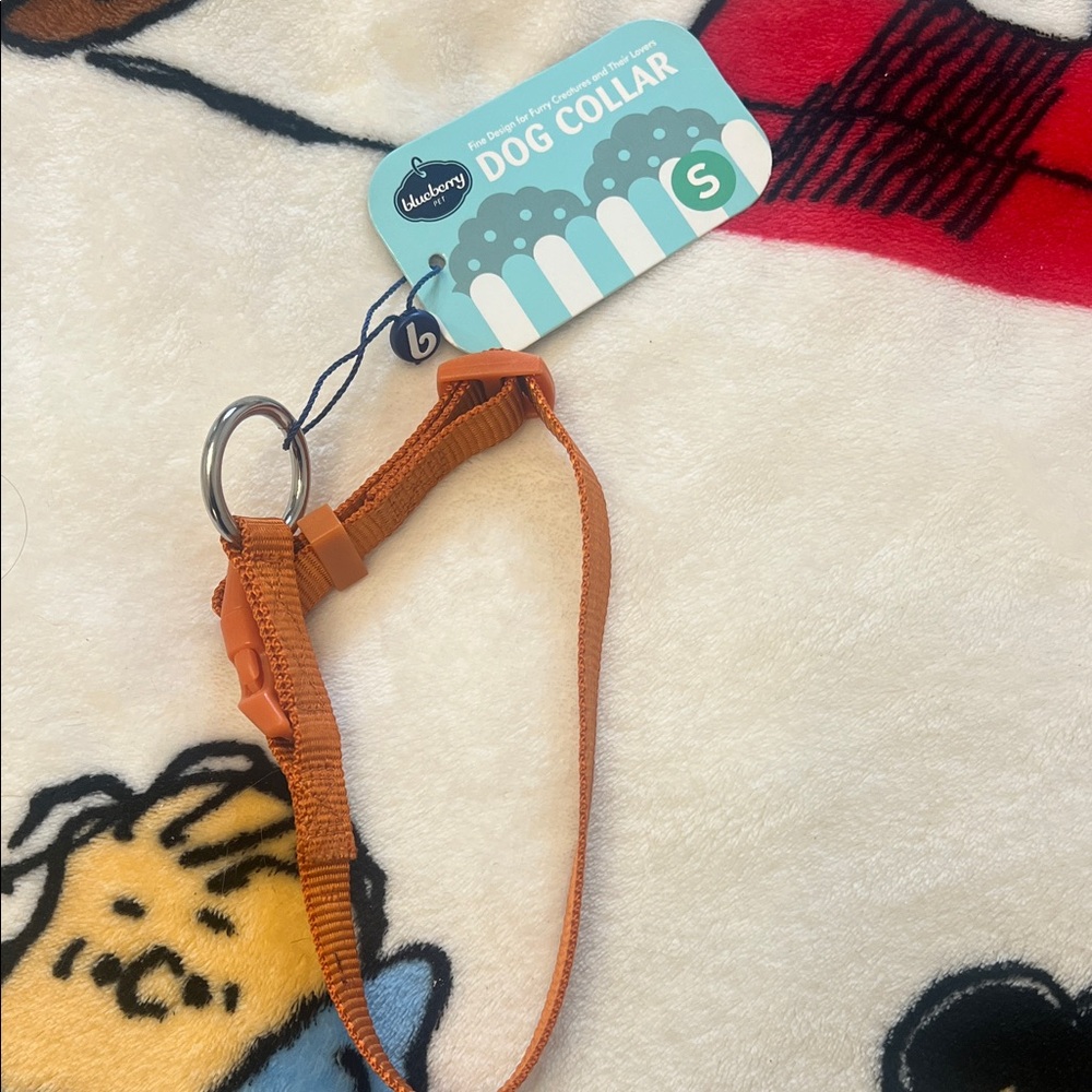 Orange Dog Collar